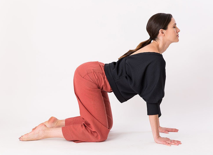 cat cow stretch