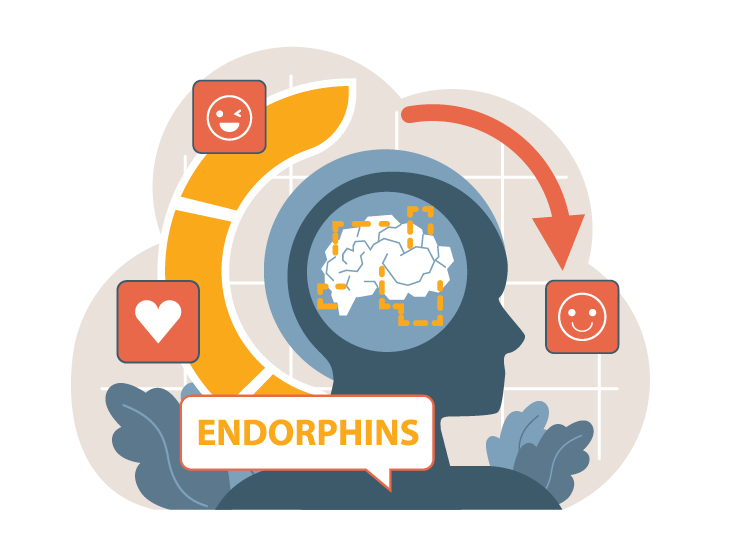 endorphins