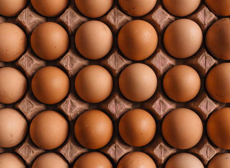 Brown Eggs