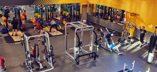 Cheap Gym Memberships vs. Premium Gym Memberships